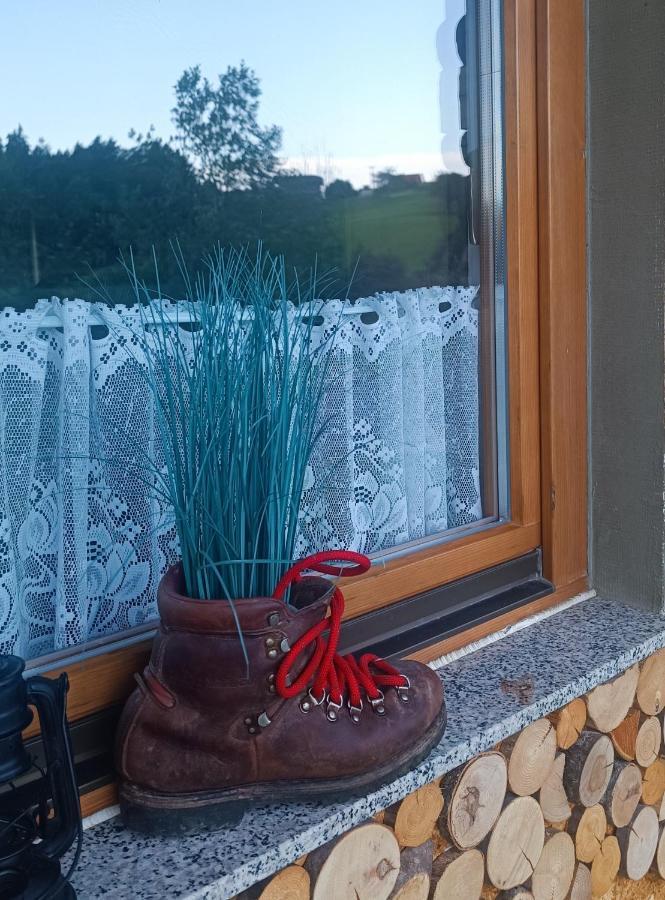 Apartmaji Borstner Vransko Luaran gambar