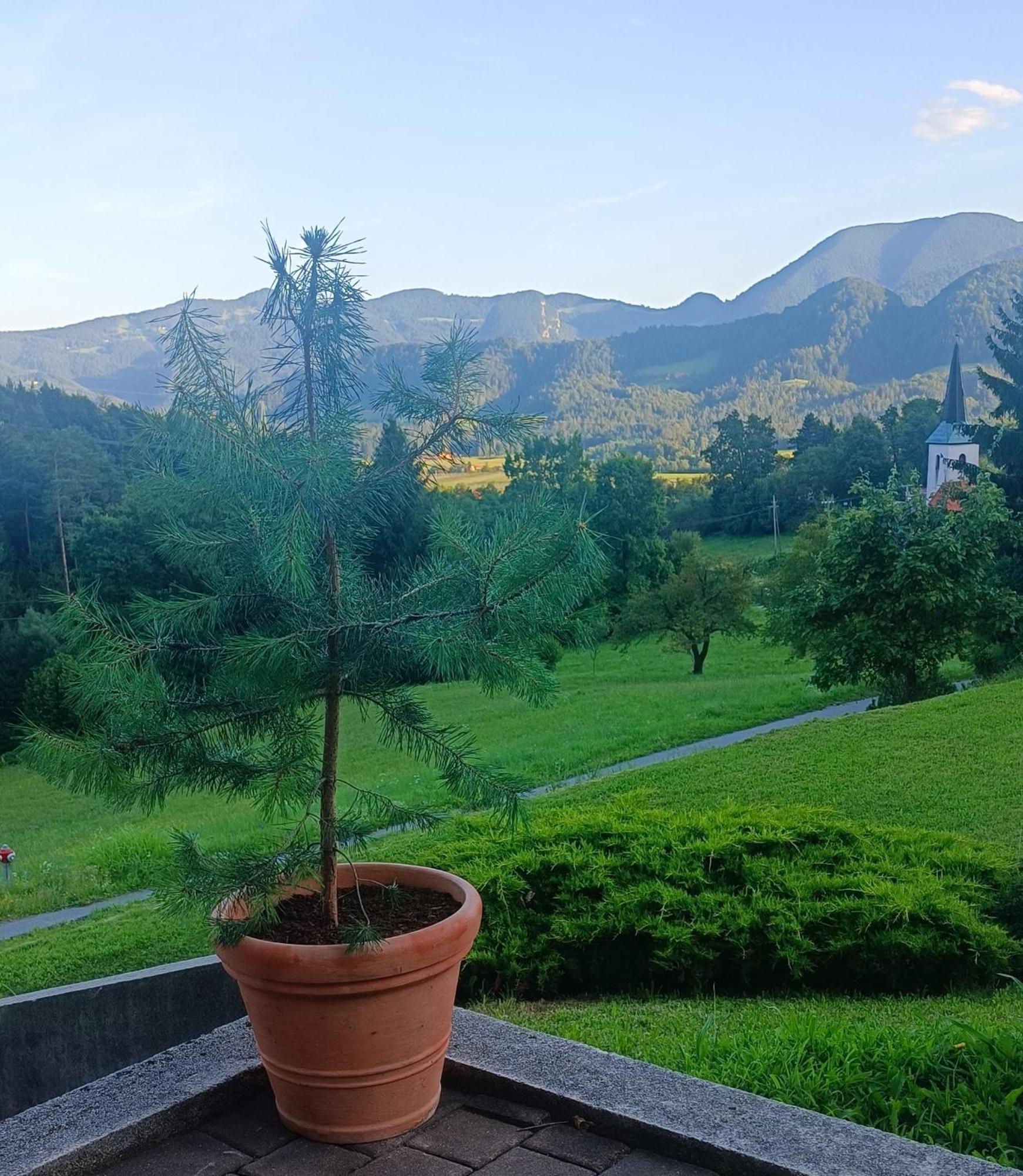 Apartmaji Borstner Vransko Luaran gambar