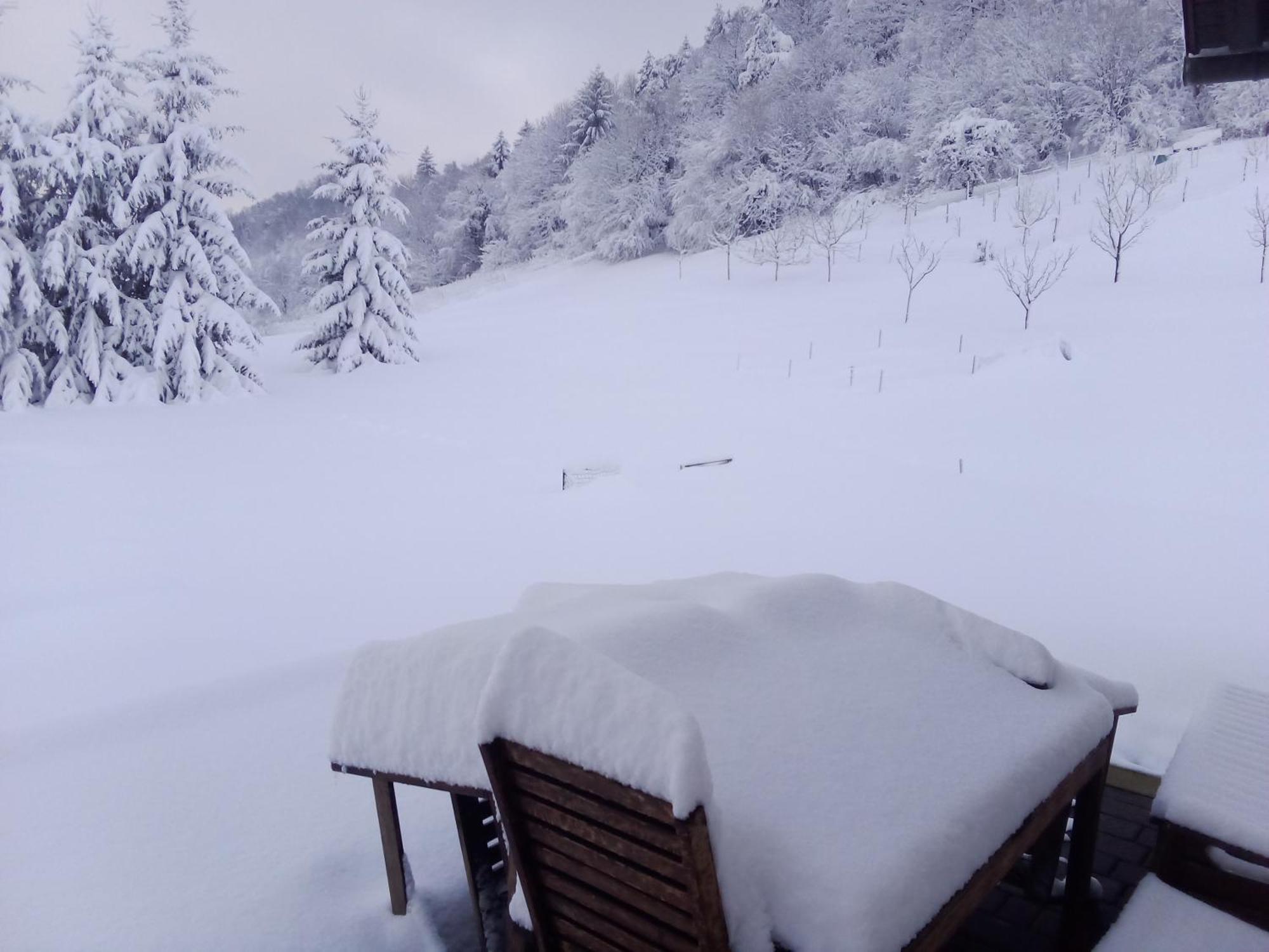 Apartmaji Borstner Vransko Luaran gambar